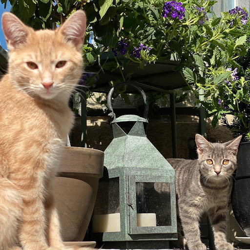 Thomas Donahue Photo 16