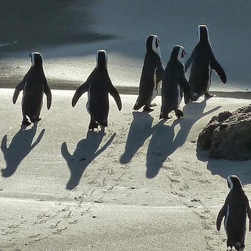 Dwight Jackson Photo 30 Dwight Jackson Photo 30