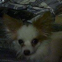 Geraldine Wallace Photo 15