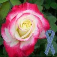 Debra Todd Photo 27