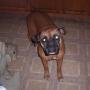 John Dones Photo 15