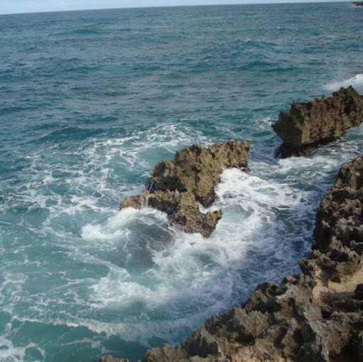 Elizabeth Mondragon Photo 12