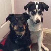 Sharon Huber Photo 28