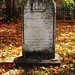 Nancy Dewitt Photo 9