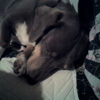 Mike Buie Photo 9