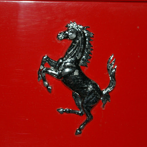 Cathy Gross Photo 19