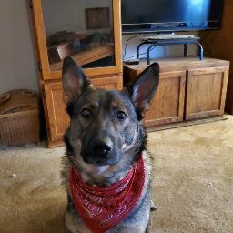 Tanya Smith Photo 37