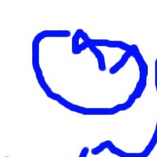 Jane Walter Photo 13