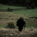 Tom Nims Photo 20