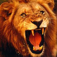 Matthew Sam Photo 29