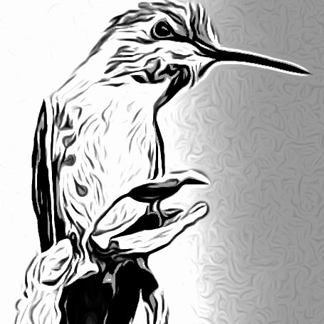 Janice Hale Photo 29