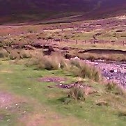 Lynette Clark Photo 7