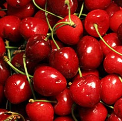 Cherry Garcia Photo 22