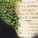 Katherine Graves Photo 10