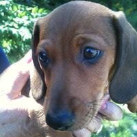 Merry Watson Photo 7