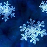 Cindy Sylvester Photo 27