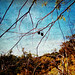 Joe Klassen Photo 9