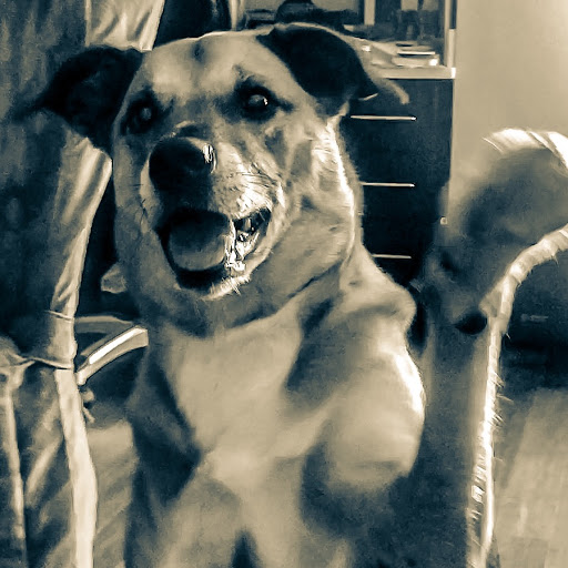 Sarah Reid Photo 48 Sarah Reid Photo 48