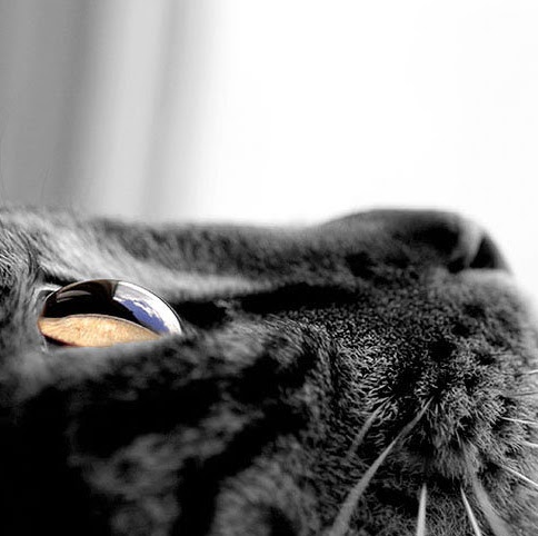 Catherine Paterson Photo 8