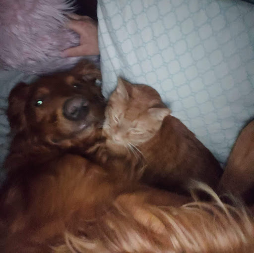 Dave Burnham Photo 25