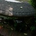 Elizabeth Barnhill Photo 16