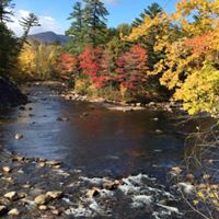 Janet Creech Photo 6
