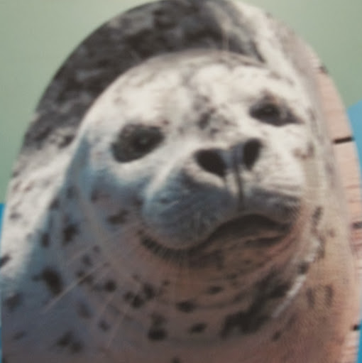 Kathleen Cochran Photo 41