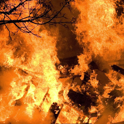 Larry Abrams Photo 16