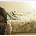 Jill Wiseman Photo 14