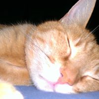 David Kreitz Photo 14