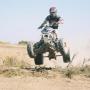 David Toney Photo 47
