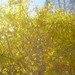 April Bright Photo 38