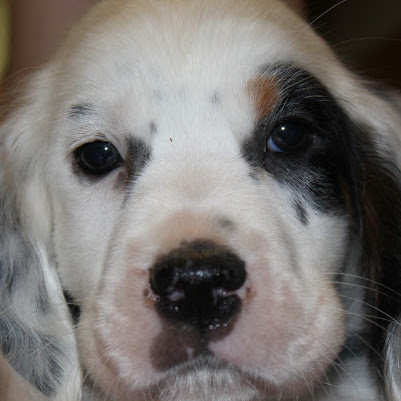 James Barger Photo 36