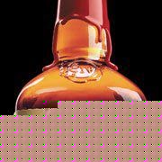 Rob Samuels Photo 34