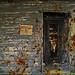 Michael Reed Photo 20