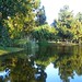 Linda Miles Photo 22