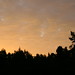 Dawn Hopkins Photo 32