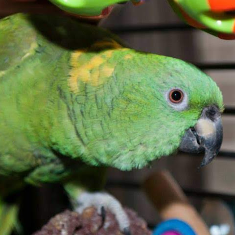 Elaine Mcdonald Photo 9