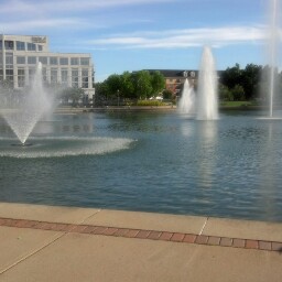 Sandra Stokes Photo 16