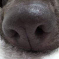 Cheryl Parnell Photo 18