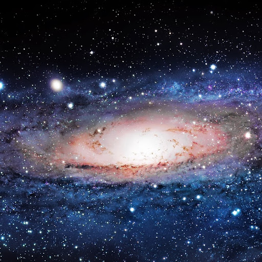 Daniel Prost Photo 12