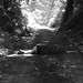 Megan Bright Photo 29