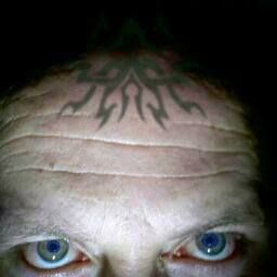 Richard Gibb Photo 29