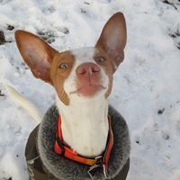 Sylvia Reinhardt Photo 6