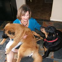 Jeanette Fox Photo 14