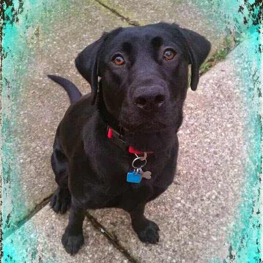 Maureen Devine Photo 18