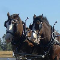 Laura Shipman Photo 39