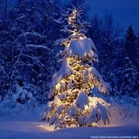 Denise Landers Photo 11