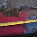 Dwight Fulton Photo 13