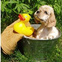 Alice Yates Photo 20